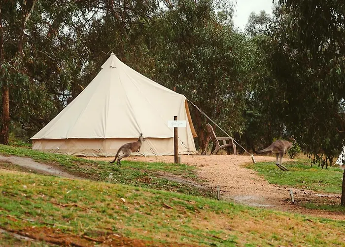 Mansfield Glamping - Adults Only