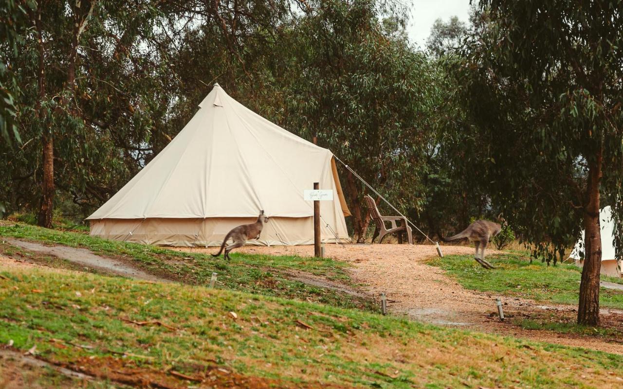 Luxury tent Glamping - Adults Only